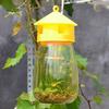 Trap Fruit Stalls Melon Fruit Insects Fruit Fly Bee Armyworm Attract Trap Agent