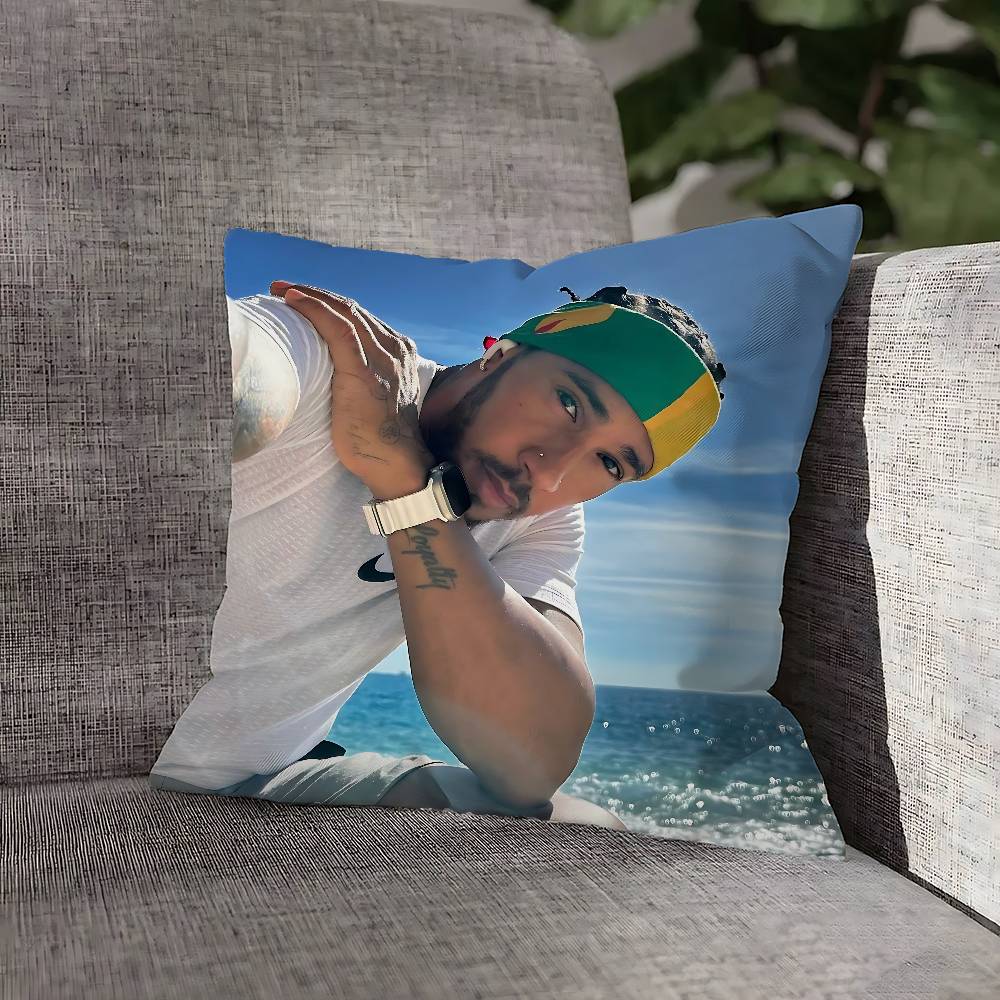 L-Lewis 44 H-HamiltonS Pillow Case For Sofa Decor Car Office Room Printing Cushion Cover Decorations and Protector