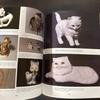 [USED] Animal Figures Ceramic Ornaments Retro Books