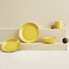Iittala (Iittala) [Official Import] Iittala Teema Mug 0.3L Honey 1026887