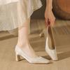 7607 French retro square head thick heel single shoes women's spring and autumn new high heels commuting versatile single shoes women