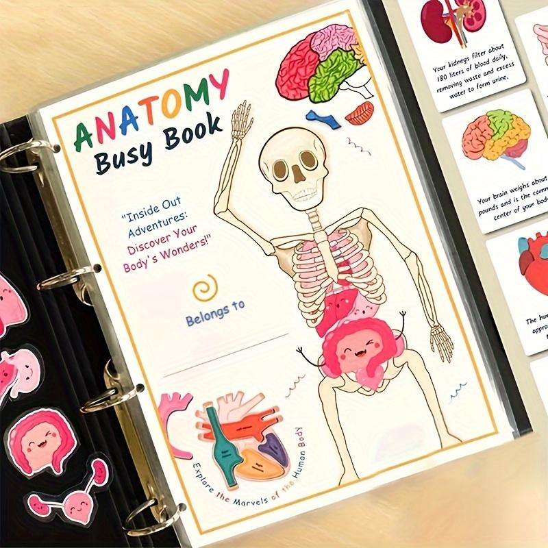 

Interactive Human Anatomy Busy Book with Labeled Organs 500 Body Facts Educational Learning Activity Gift for Students