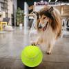 9.5‘’ Oversize Giant Tennis Balls Inflatable Tennis Ball with Pump Dog Toy Balls For Signature Children Adult Pets Dogs Cats Fun