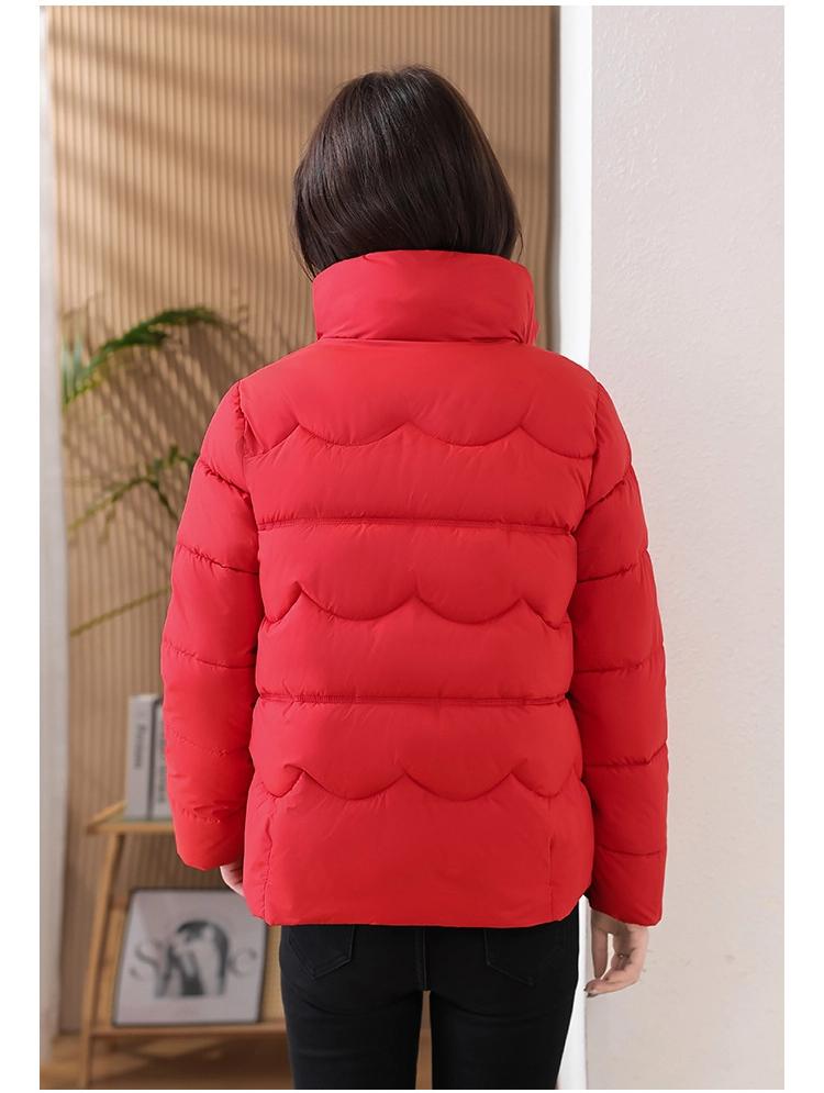Short Down Jacket Women's Winter Vertical Collar Solid Color Jacket Warm Coat