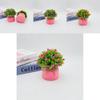 Starry Sky Artificial Flower Pot For Home Office Decor With Plastic Material And Wedding Use