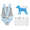Durability Pet Bag With Storage Compartments Convenient Front Load Pet Carriers For Active Pet Owners