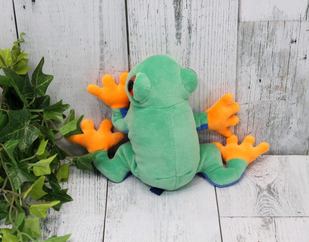 Take Off Animania Red-eyed Tree Frog 062124