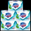 Safeguard Mint Erfrischende Stückseife
