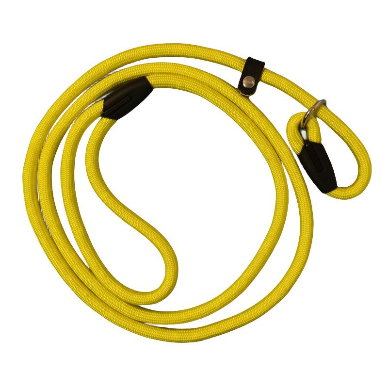 Small Dog Outdoor No-Pull Training Leash & Rope