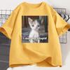 I May Be Stupid T-shirt Funny Silly Meme Cat T ShirtCasual Short Sleeve Tshirts Print Fashion Tee Clothes Tops