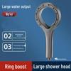 TLXT Pressurized Handheld Shower Head