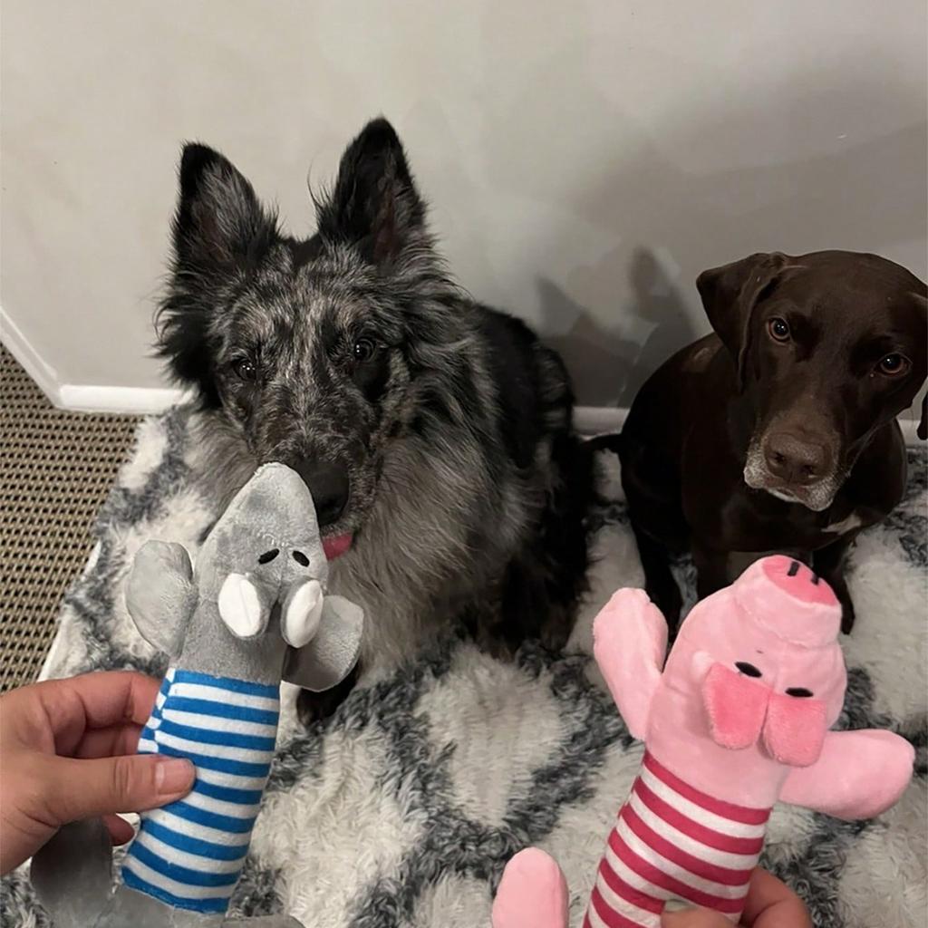 1 Stück Tier-Quietschspielzeug für Hunde (Elefant/Ente/Schwein) - Langlebige Kauspielzeuge für aggressive Kauer mit Zahnreinigung