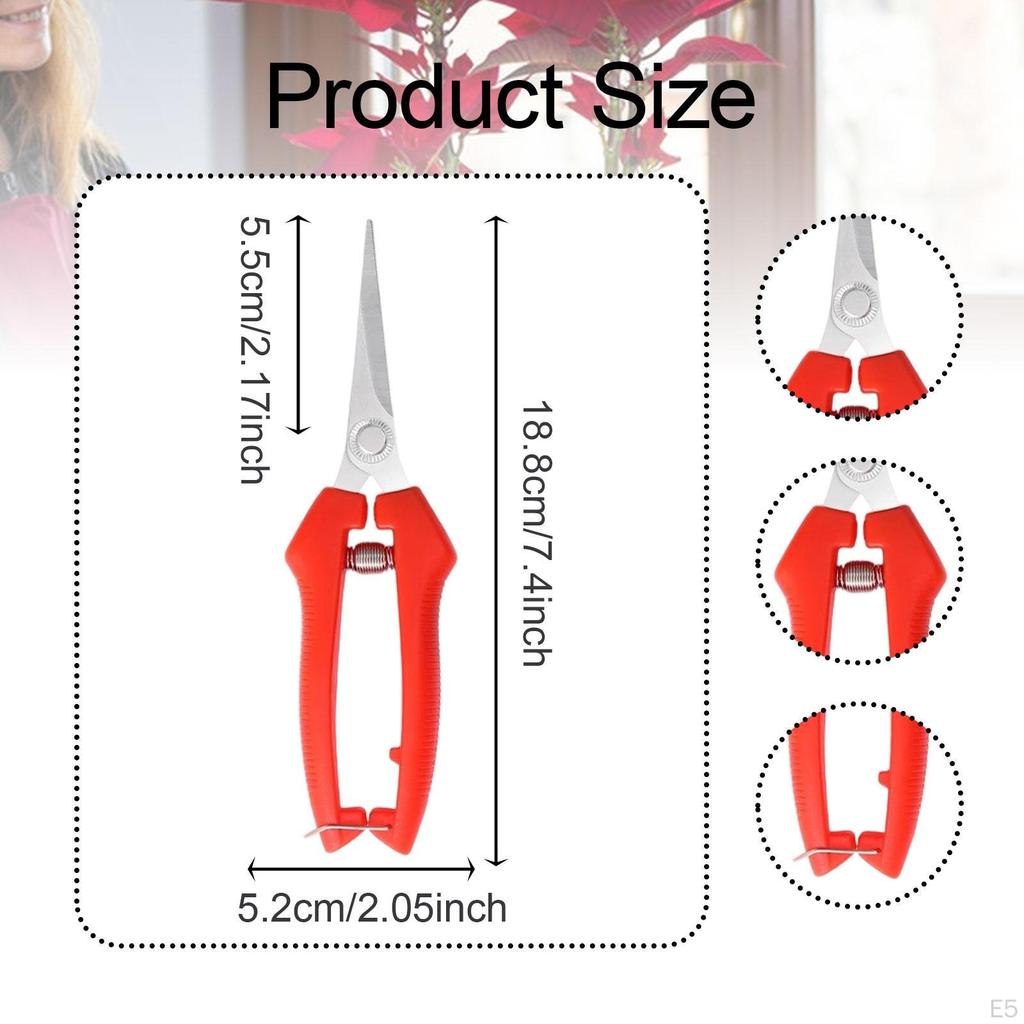 Cutting Shears for Garden Maintenance And