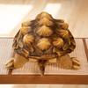 Alligator Snapping Turtle Plush Toy, Turtle Gifts, Stuffed Animal, Kids Toy, Ocean Animal, Aquarium, Animal Present, 55cm