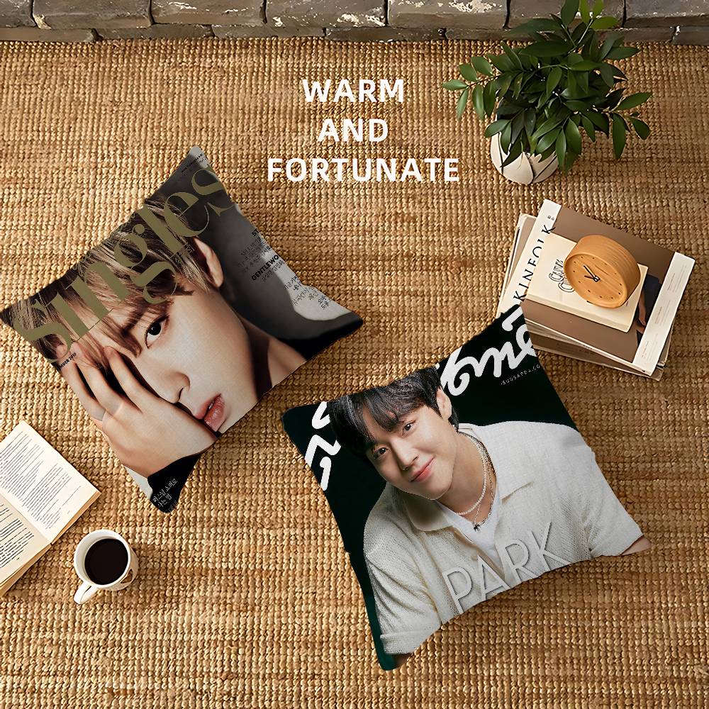 Korean P-PARK JI HOON Cushion Cover Pillowcase Upholstery Sofa Throw Pillow Home Decor Pillowcas