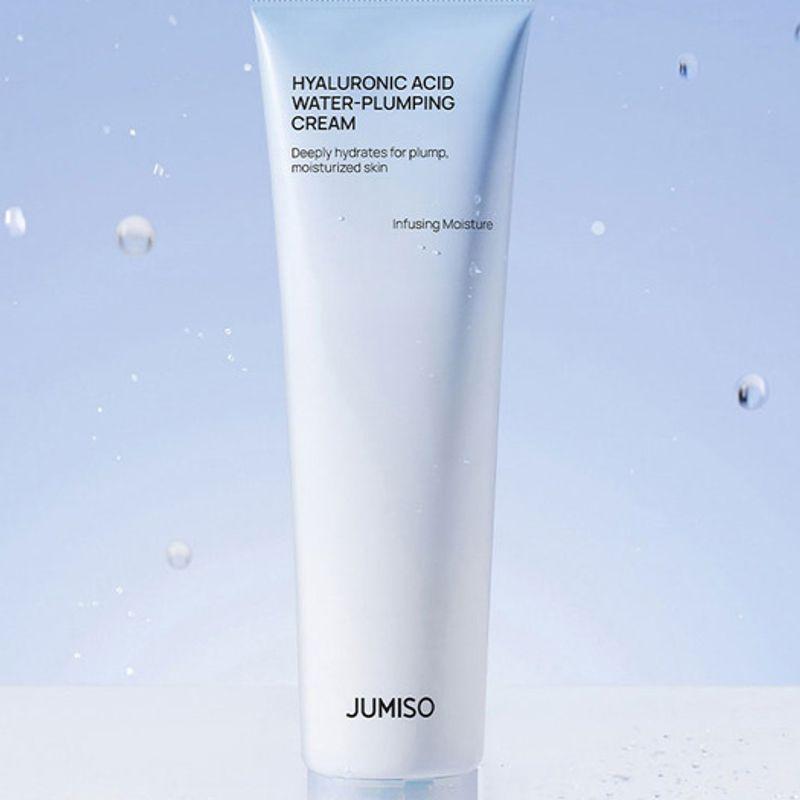 

Hyaluronic Acid Water Plumping Moisture Cream 100ml