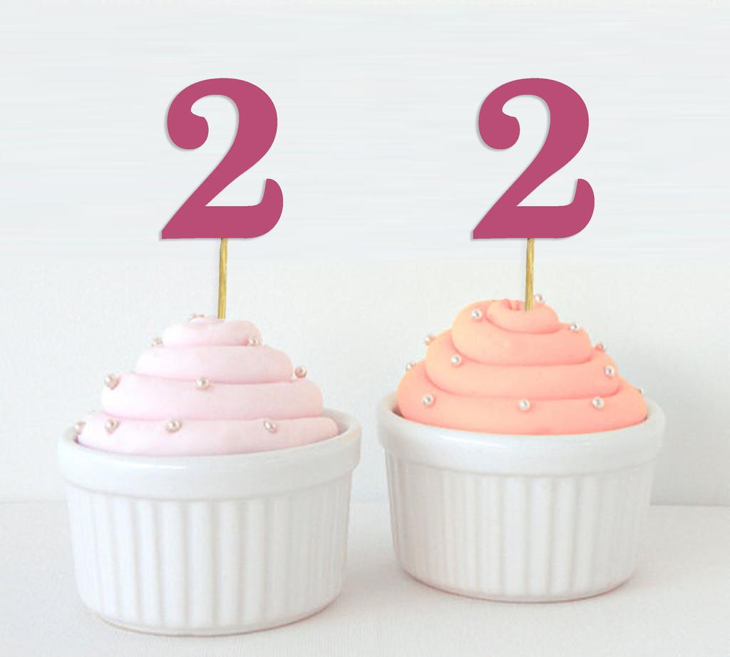 Darling Souvenir Number 2 Birthday Cupcake Toppers Birthday  Anniversary Party Dessert Decorations - Pack Of