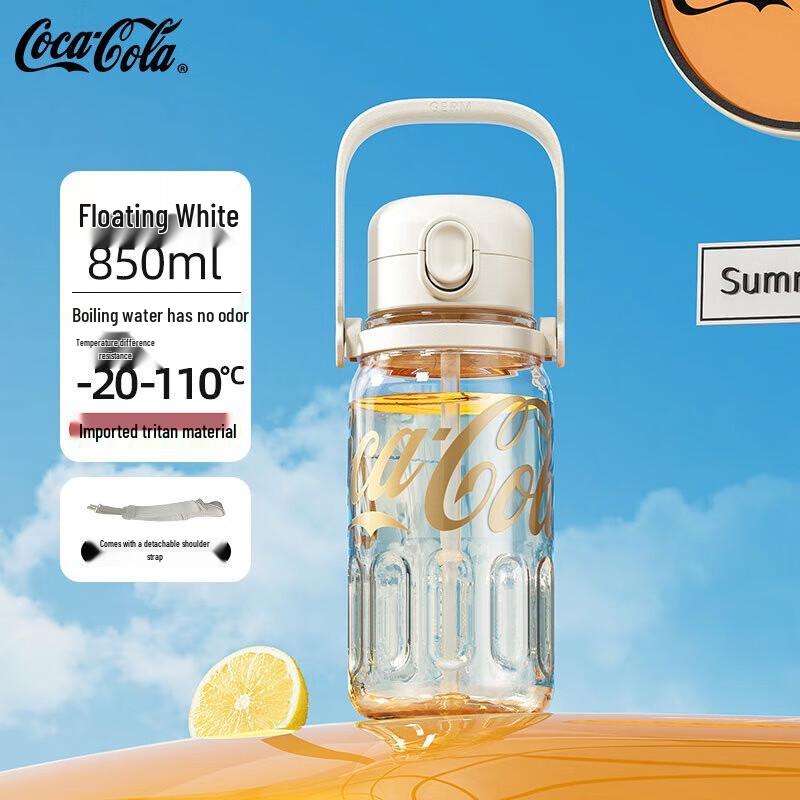 GEMINI Rhythm 850ml Portable Straw Stainless Steel Water Bottle