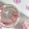 Yousheng Double Wall Glass Cup with Dried Flowers Insulated Espresso Coffee Mug Heat-Resistant Dual Layered Glass for Home Kitchen Party