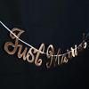 Birthday Letter Banner: Gold, Silver & Rose Gold Hot-Stamped Letters for Adult & Children’s Celebrations and Wedding Decor