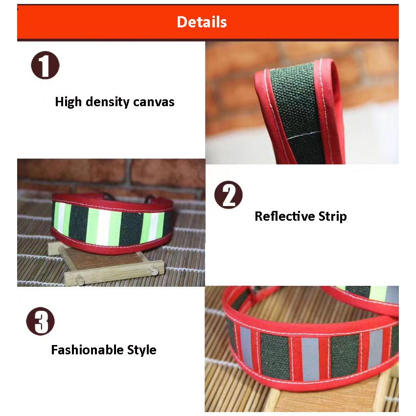 Pet Reflective Collar Leash Gree Greyhound Whippet Thin Dog Canvas Luminous Collar for Small/Medium/Large Dogs