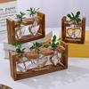 Creative Wooden Frame Hydroponic Small Vase Green Dill Plant Glass Bottle Container Home Living Room Office Desktop Decoration