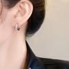 Exquisite Zircon Light Luxury Minimalist Ear Cuffs & Hoops - Fashionable, Versatile Women's Earrings In Cold Style