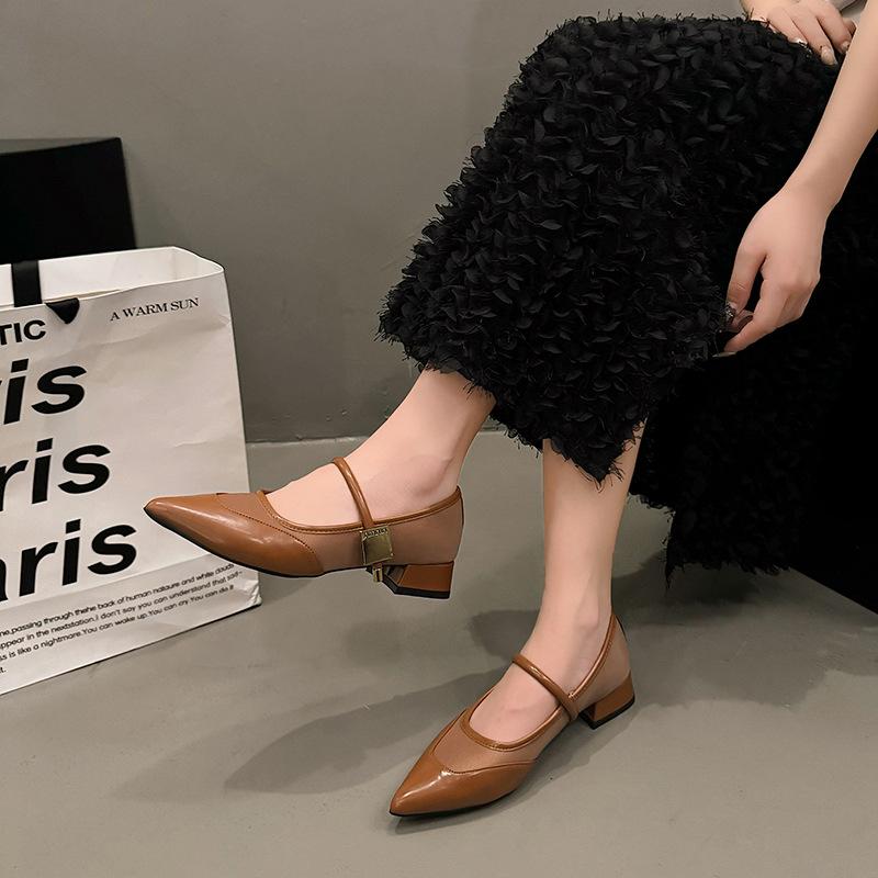 Single Shoes Women's Autumn 2025 New French Pointed Head Shallow Mouth Mary Jane Shoes with Thick Heel Versatile High Heels