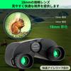 FOCUHUNTER 10x25 Compact Binoculars with Case and Focus BAK9 Prism Birdwatching Optics for Adults and Kids Wheel, Multi-Coated Telescope, Waterproof,