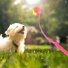 Pet Ball Thrower Outdoor Dog Throwing Stick for Medium Large Dogs Blue