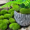 Simulation Moss Stone Artificial Moss Rock Ball Fake Green Plant for Home Garden Micro Landscape Pot Decoration Creative Crafts