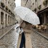 Handheld Retro Floral Umbrella UV Protection Portable Folding Umbrella Sun Rain Umbrella Travel