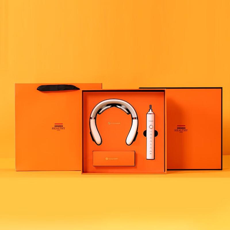 BAOPAI BP-T12 Rechargeable Neck Massager & Electric Toothbrush Gift Set