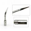G4 Dental Ultrasonic Scaler Tips Fit for EMS Woodpecker UDS Dental Ultrasonic Scalers for Teeth Whitening
