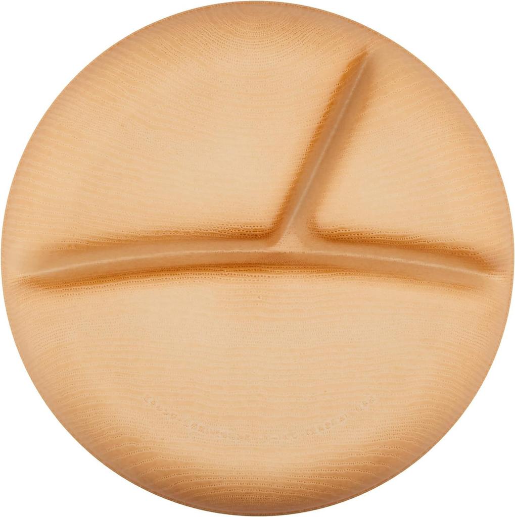 Bulk Set of Showa Isso and Divided Lunch Plates with Clean Made In Perfect for Outdoor and Earthquake Making Them Ideal for Disaster Preparedness and