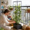 Garden Plant Cultivation Tower Vertical Growing Container Rectangular Climbing Vine Planting Box Tomato Cage With Trellis