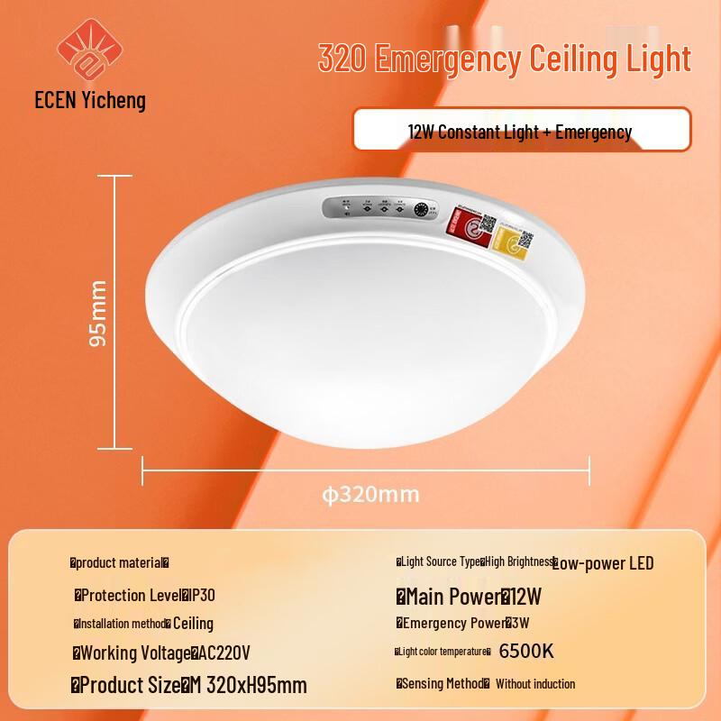 

Lieve Voice-Controlled Emergency Ceiling Light