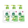 Dettol Antibacterial Hand Wash