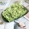 20g Natural Dried Flowers Hydrangea Macrophylla Home Flowers Decoration Wedding Celebration Bouquet Materials