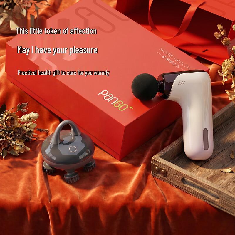 Pangao Infrared Heating Waist Massager Gift Set CN plug (adapter included)