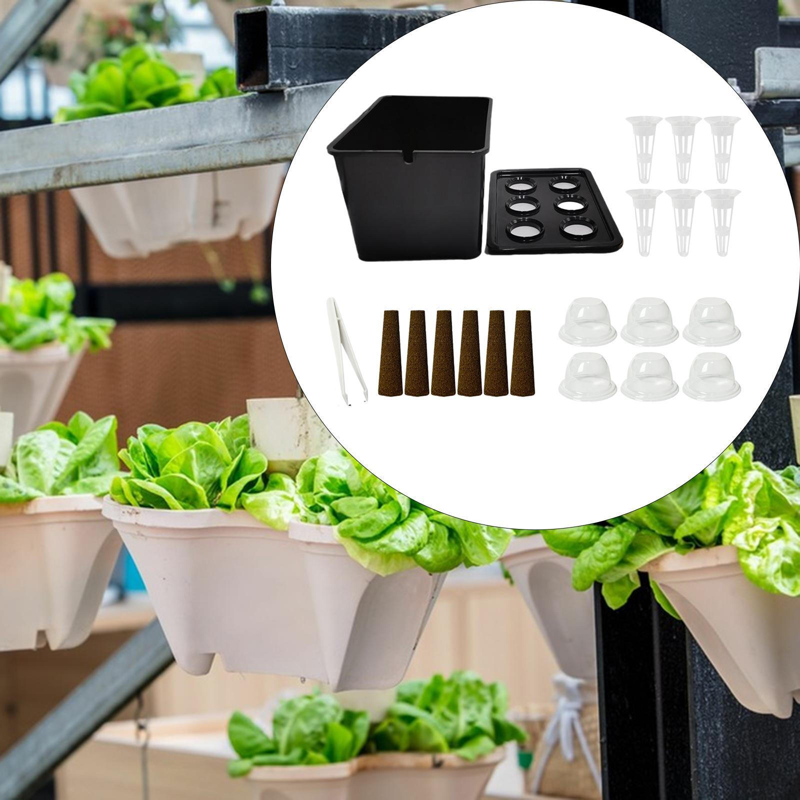 

Cultivation System Set, Plant Containers for Garden And Office чорний