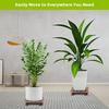 Household Garden Wooden Moving Flowerpot Base Movable Plant Pot Trolley 4 Wheels Rolling Base Trays Plant Stand