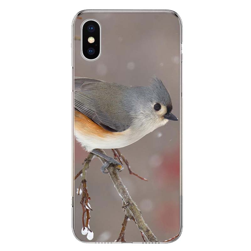 Magpie Bird Cover Phone Case For Apple iPhone 11 12 13 14 Pro 7 XR X XS Max 6 6S 8 Plus + Mini 5 SE Print Soft Cover Coque