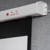 Redleaf 150 inch 16:9 Ecran de Proiecție Electric cu Telecomandă