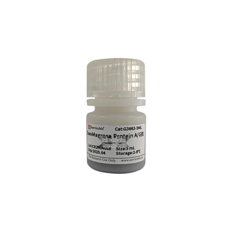 SweMagrose Protein A/G Antibody Purification Magnetic Beads