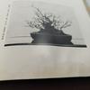 [USED] Antique Book Watanabe Family Bonsai Exhibition Catalog Japan Vintage Japan Store