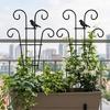 Garden Stake Removable Obelisk Support for Climbing Plant Trellis Height Suitable for Various Climbing Plant