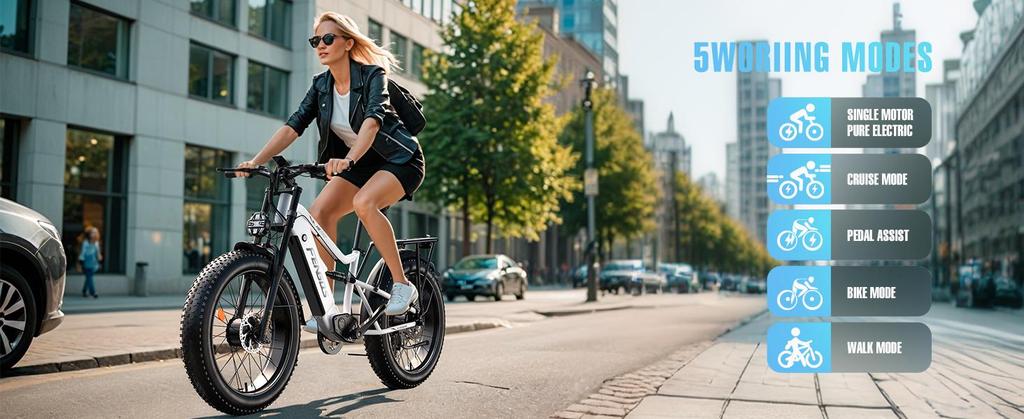 Elektrické kolo FENGQS H6 PRO Dva 750W motory 52V 17.5Ah Baterie 26*4.0 palcové Pneumatiky 60km/h Maximální Rychlost 140km Maximální Dojezd 7rychlostní