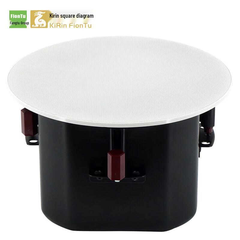 FionTu Conference Audio 6.5-inch Ceiling Speaker (CN version)