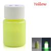 20g Fashion Bright DIY Craft Luminous Paint Acrylic Glow In The Dark Pigment